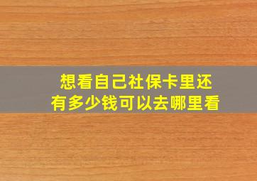 想看自己社保卡里还有多少钱可以去哪里看