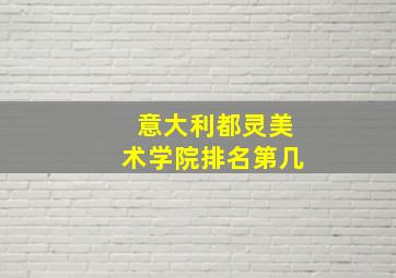 意大利都灵美术学院排名第几