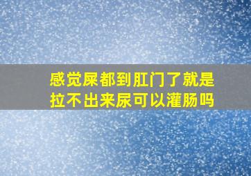 感觉屎都到肛门了就是拉不出来尿可以灌肠吗