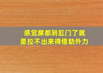 感觉屎都到肛门了就是拉不出来得借助外力