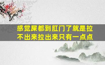 感觉屎都到肛门了就是拉不出来拉出来只有一点点