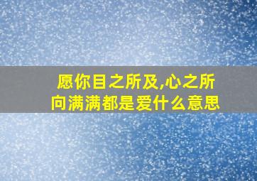 愿你目之所及,心之所向满满都是爱什么意思