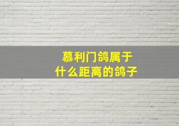 慕利门鸽属于什么距离的鸽子