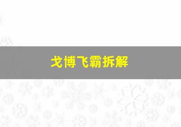 戈博飞霸拆解