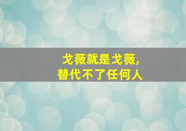 戈薇就是戈薇,替代不了任何人