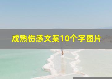 成熟伤感文案10个字图片