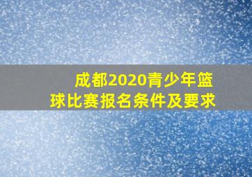 成都2020青少年篮球比赛报名条件及要求