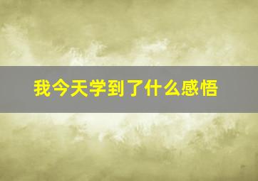 我今天学到了什么感悟