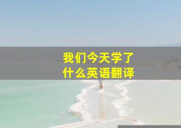 我们今天学了什么英语翻译