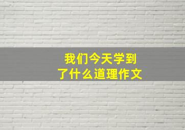 我们今天学到了什么道理作文