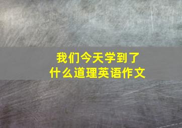 我们今天学到了什么道理英语作文