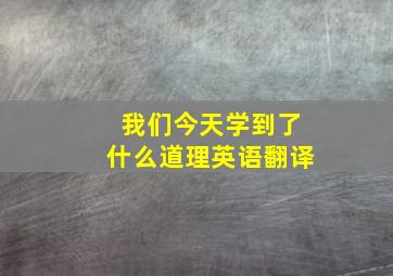 我们今天学到了什么道理英语翻译