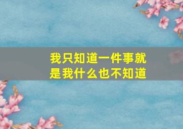 我只知道一件事就是我什么也不知道