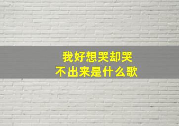 我好想哭却哭不出来是什么歌