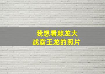 我想看棘龙大战霸王龙的照片