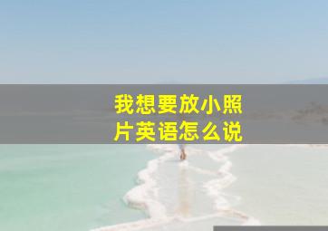 我想要放小照片英语怎么说