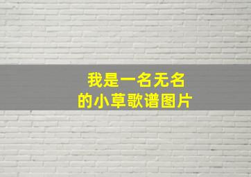 我是一名无名的小草歌谱图片