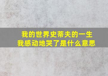 我的世界史蒂夫的一生我感动地哭了是什么意思