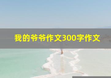 我的爷爷作文300字作文