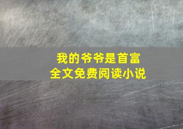 我的爷爷是首富全文免费阅读小说