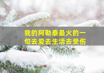 我的阿勒泰最火的一句去爱去生活去受伤