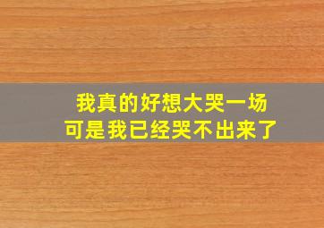 我真的好想大哭一场可是我已经哭不出来了