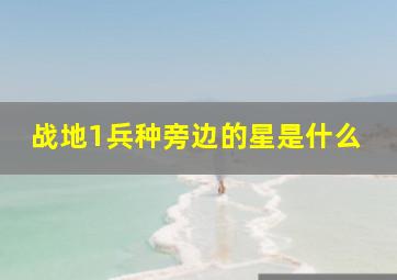 战地1兵种旁边的星是什么