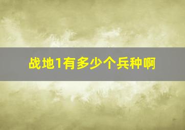 战地1有多少个兵种啊