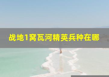 战地1窝瓦河精英兵种在哪