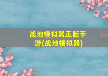 战地模拟器正版手游(战地模拟器)