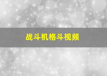 战斗机格斗视频