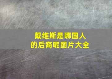 戴维斯是哪国人的后裔呢图片大全