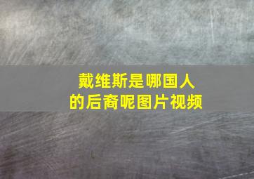 戴维斯是哪国人的后裔呢图片视频