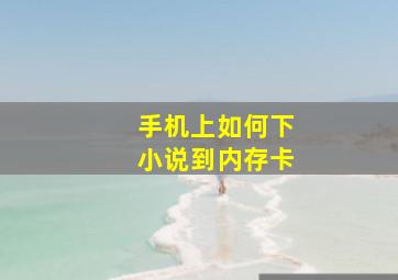 手机上如何下小说到内存卡