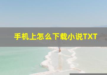 手机上怎么下载小说TXT