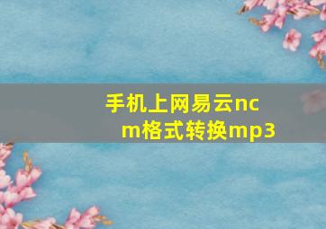 手机上网易云ncm格式转换mp3