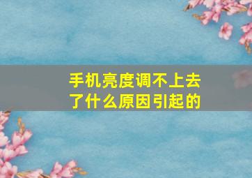 手机亮度调不上去了什么原因引起的