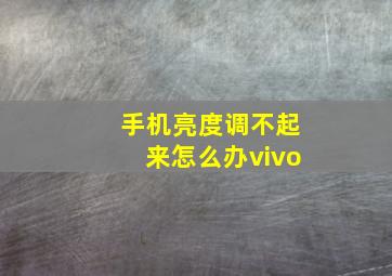 手机亮度调不起来怎么办vivo