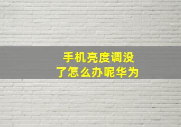 手机亮度调没了怎么办呢华为