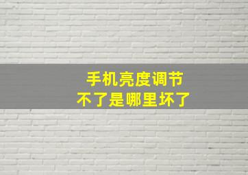 手机亮度调节不了是哪里坏了