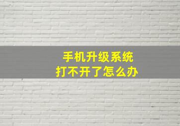 手机升级系统打不开了怎么办