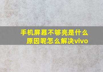 手机屏幕不够亮是什么原因呢怎么解决vivo