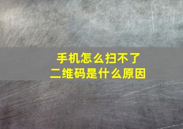 手机怎么扫不了二维码是什么原因