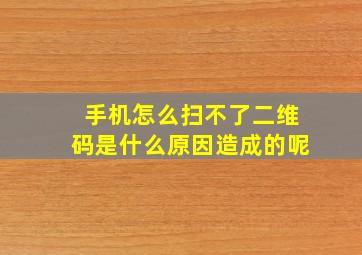 手机怎么扫不了二维码是什么原因造成的呢