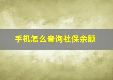 手机怎么查询社保余额