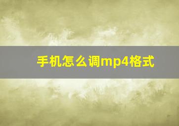 手机怎么调mp4格式