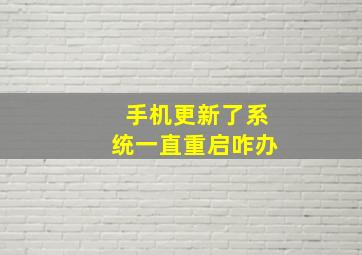 手机更新了系统一直重启咋办