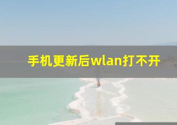 手机更新后wlan打不开