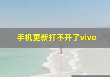 手机更新打不开了vivo