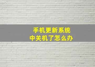 手机更新系统中关机了怎么办